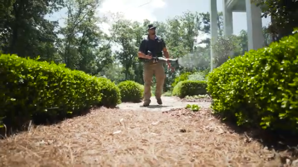 Technician applying mosquito control barrier spray to landscape foliage and shrubbery
